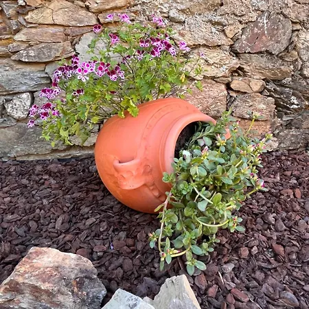 Mirakostacb Castelo Branco (Centro)