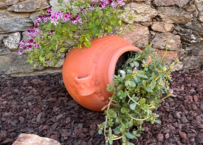 Mirakostacb كاستيلو برانكو